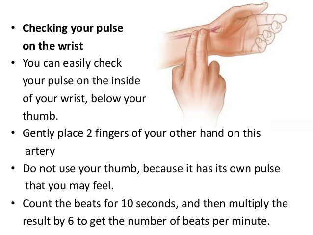 How to Take your Pulse