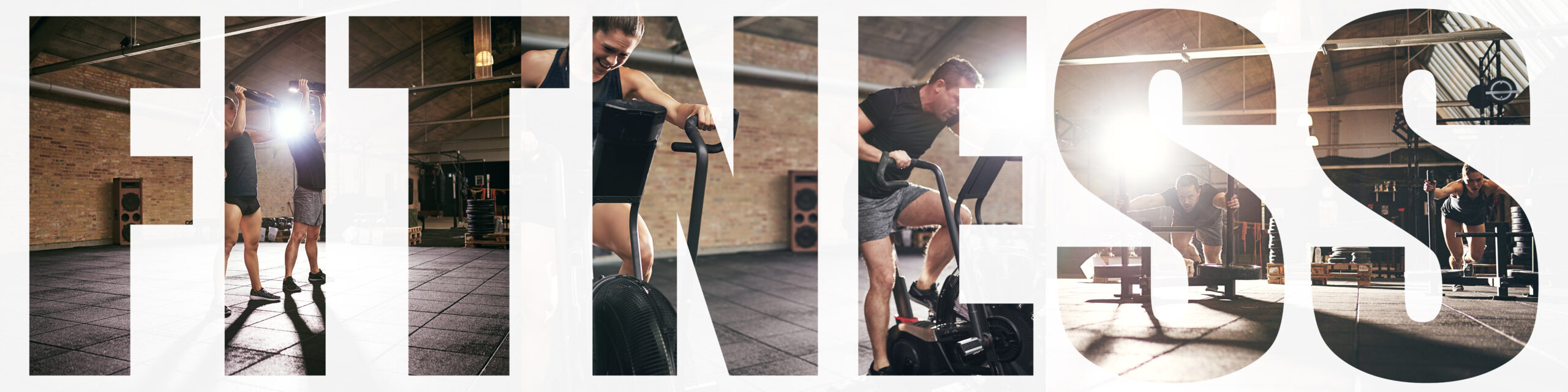 Exercise Programs and Workouts