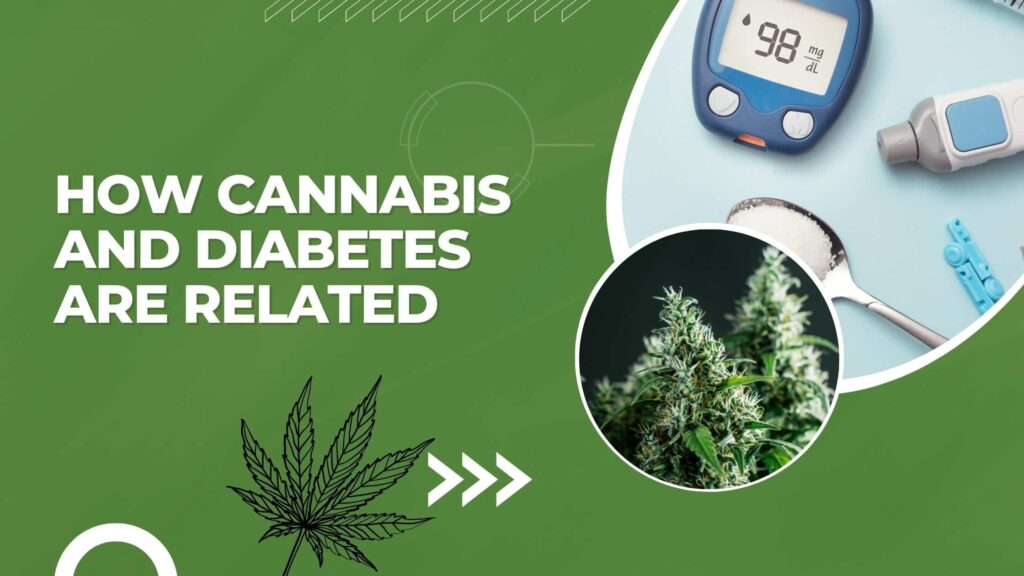 How-Cannabis-and-Diabetes-are-related