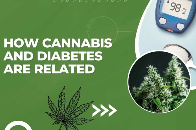 Cannabis and Diabetes – Don’t Shoot the Messenger